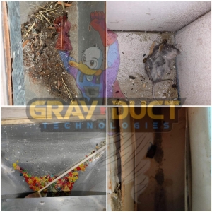 Photo of Gray Duct Technologies