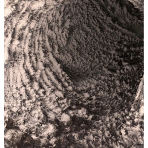 Photo of Gray Duct Technologies
