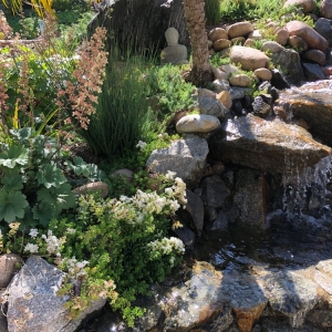San Diego Gardens for the Future