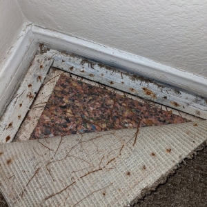 Photo of Mr Tile