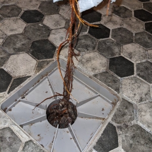 Photo of Mr Tile