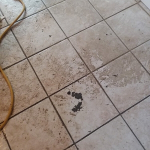 Photo of Hoffmann Carpet Cleaning