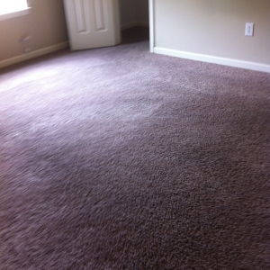 Photo of Hoffmann Carpet Cleaning
