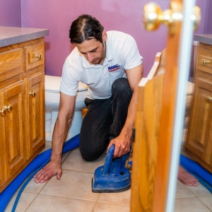 Photo of Milwaukee Area Carpet Cleaning