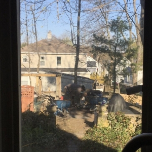 Somerville Your Garden Curator