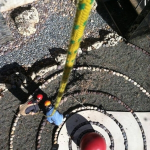 Photo of Earth and Arbor Tree Service