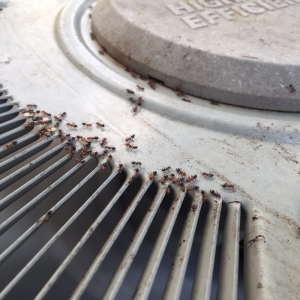 Photo of Super Cool Air Conditioning & Heating