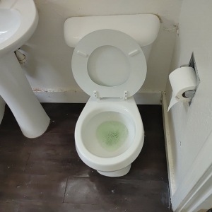 Photo of Candy Cane Cleaning Services
