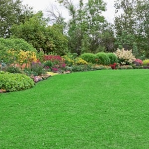 Photo of Total Renovation Landscaping