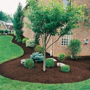 Photo of Total Renovation Landscaping