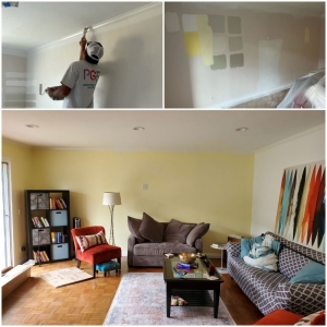 Photo of PGP Professional Painter