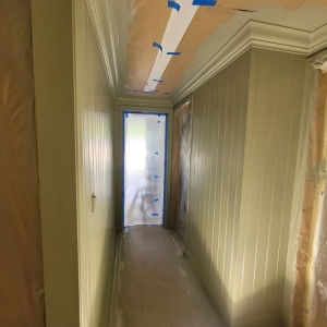 Photo of PGP Professional Painter