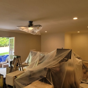 Photo of PGP Professional Painter