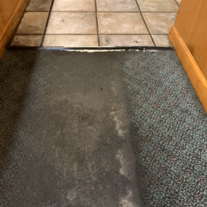 Photo of Steamaction Carpet Cleaning