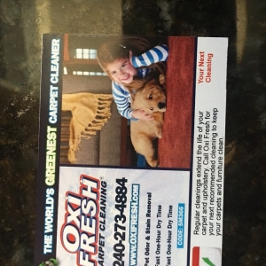 Photo of Oxi Fresh Carpet Cleaning