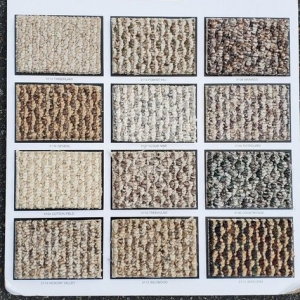 Photo of Hector's Magic Carpet