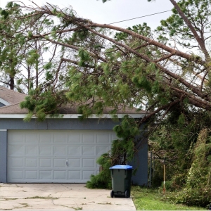 Photo of Farmers Insurance - Valdez Casis