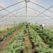 Photo of Ashbourne Farms
