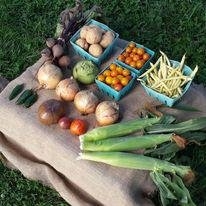 Photo of Ashbourne Farms