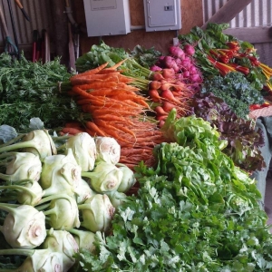 Photo of Ashbourne Farms