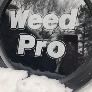 Photo of Weed Pro