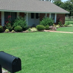 Photo of A Cut Above Lawn and Tree Service
