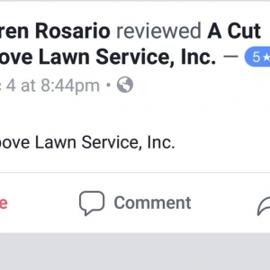 Photo of A Cut Above Lawn and Tree Service