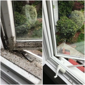 Photo of Splash Window Cleaning & Solutions