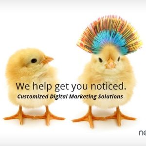 Photo of NetBiz
