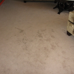 Photo of Cole's Carpet and Upholstery Co.