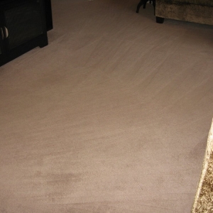 Photo of Cole's Carpet and Upholstery Co.