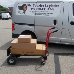Photo of Ms Courier Logistics