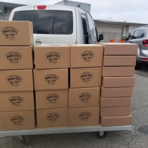Photo of Ms Courier Logistics