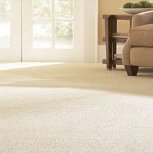 Photo of Carpet Cleaning By Metron