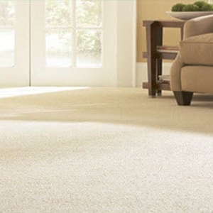 Photo of Carpet Cleaning By Metron