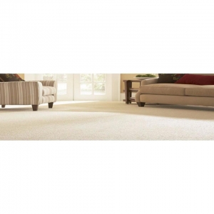 Photo of Carpet Cleaning By Metron