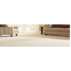 Photo of Carpet Cleaning By Metron