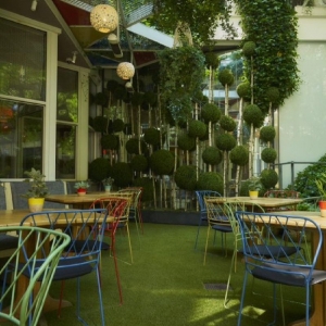 Photo of SYNLawn New York