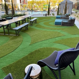 Photo of SYNLawn New York