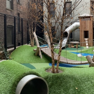 Photo of SYNLawn New York