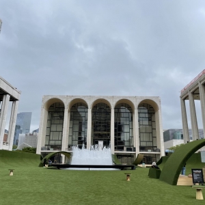 Photo of SYNLawn New York
