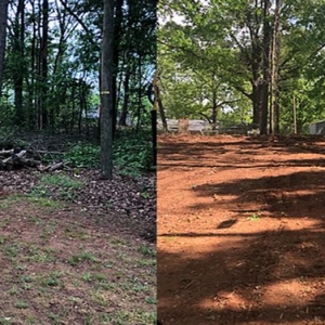 Photo of Sea Forestry Grading & Mulching