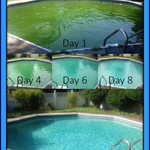 Photo of Blue Sea Pool and Spa