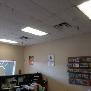 Photo of Miami Auto Tag Agency