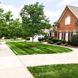 Photo of Grass Gatorz