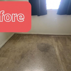 Photo of Lifeco Steam Clean