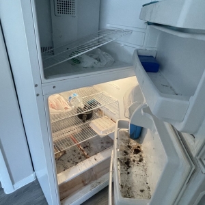 Photo of Cleaning An Services