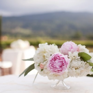 Photo of Jacin Fitzgerald Events