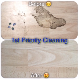 Photo of 1st Priority Cleaning Services