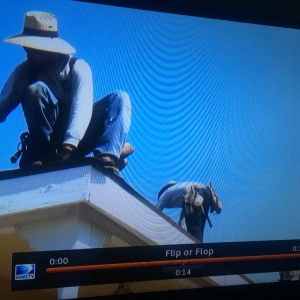 Photo of Taf Roofing